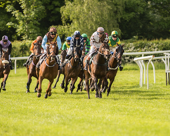 Race 5 - Restricted Race (108 of 180).jpg