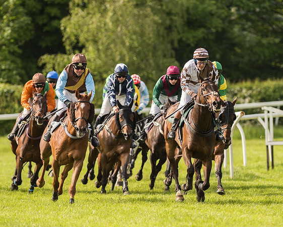 Race 5 - Restricted Race (110 of 180).jpg