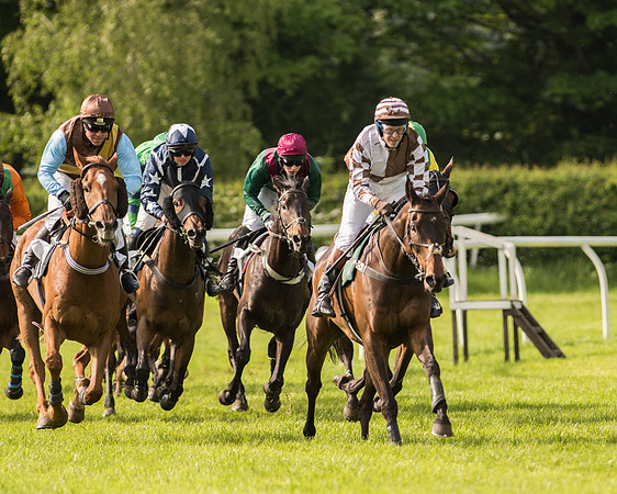 Race 5 - Restricted Race (111 of 180).jpg