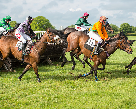 Race 5 - Restricted Race (121 of 180).jpg