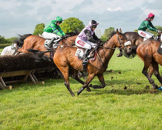 Race 5 - Restricted Race (122 of 180).jpg