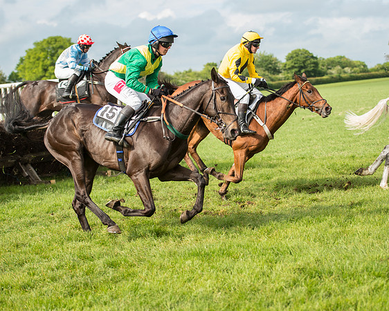 Race 5 - Restricted Race (127 of 180).jpg