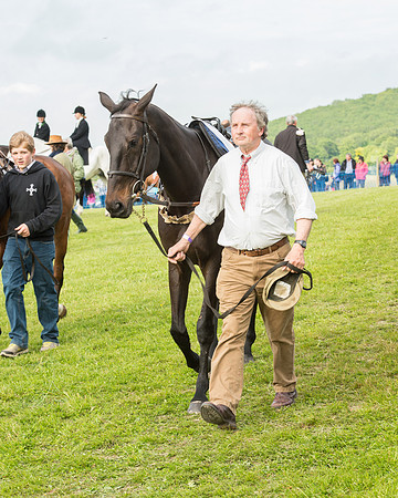 Race 6 - Open Maiden Race (2 of 180).jpg