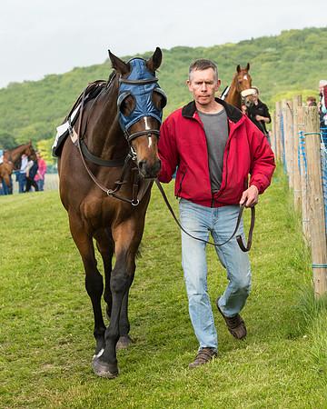 Race 6 - Open Maiden Race (4 of 180).jpg