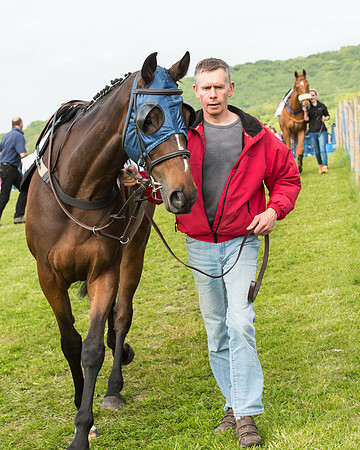Race 6 - Open Maiden Race (7 of 180).jpg