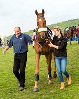 Race 6 - Open Maiden Race (10 of 180).jpg
