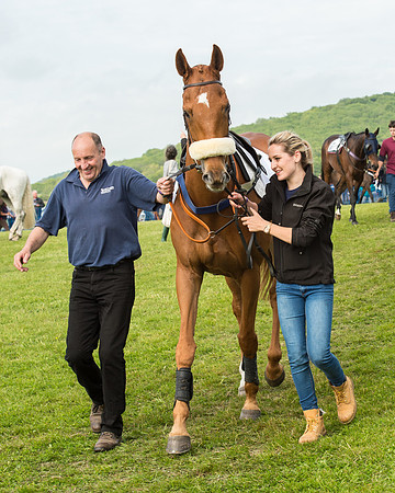 Race 6 - Open Maiden Race (10 of 180).jpg