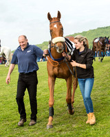 Race 6 - Open Maiden Race (11 of 180).jpg