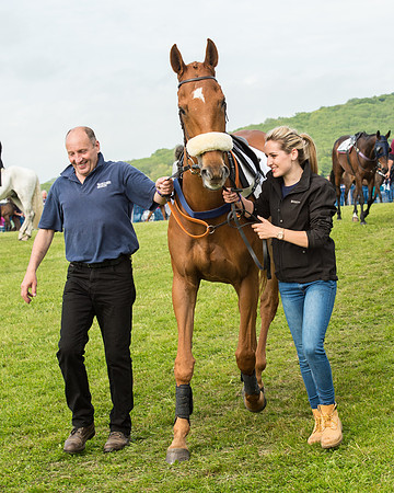Race 6 - Open Maiden Race (11 of 180).jpg