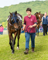 Race 6 - Open Maiden Race (12 of 180).jpg