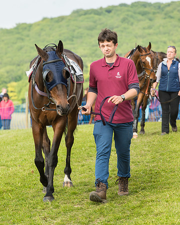 Race 6 - Open Maiden Race (12 of 180).jpg