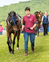 Race 6 - Open Maiden Race (13 of 180).jpg