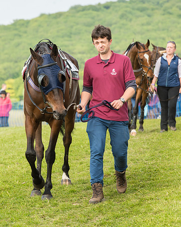 Race 6 - Open Maiden Race (13 of 180).jpg