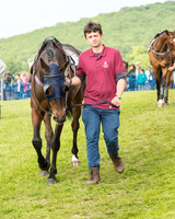 Race 6 - Open Maiden Race (14 of 180).jpg