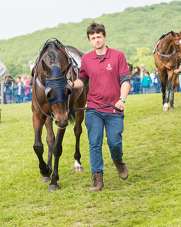 Race 6 - Open Maiden Race (14 of 180).jpg