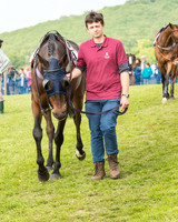 Race 6 - Open Maiden Race (15 of 180).jpg