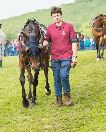 Race 6 - Open Maiden Race (15 of 180).jpg