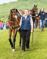 Race 6 - Open Maiden Race (16 of 180).jpg