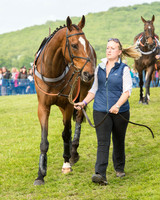 Race 6 - Open Maiden Race (18 of 180).jpg