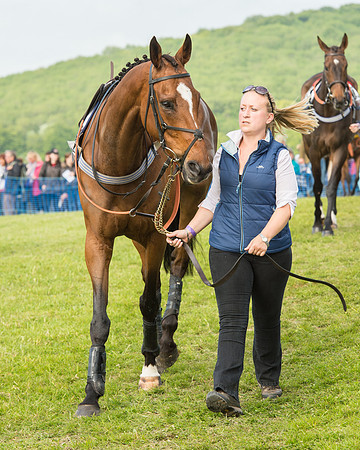Race 6 - Open Maiden Race (18 of 180).jpg