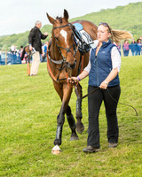 Race 6 - Open Maiden Race (19 of 180).jpg
