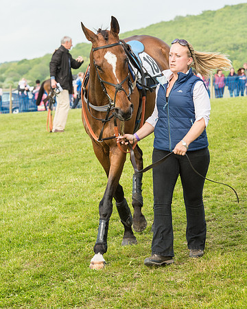 Race 6 - Open Maiden Race (19 of 180).jpg