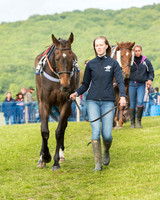 Race 6 - Open Maiden Race (20 of 180).jpg