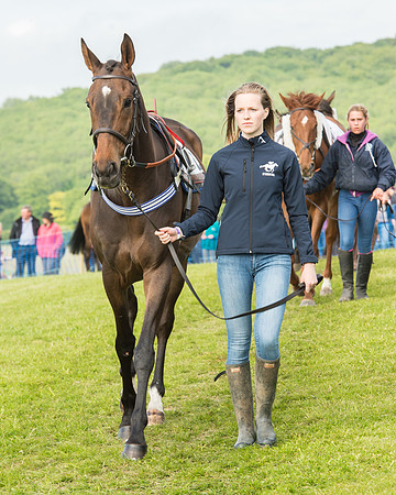 Race 6 - Open Maiden Race (21 of 180).jpg
