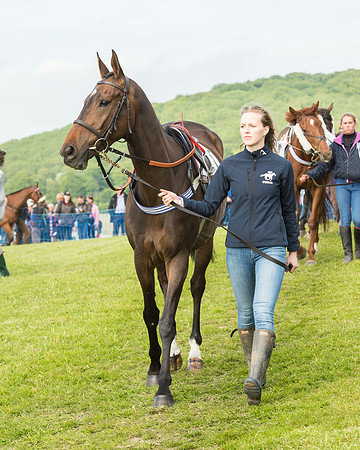 Race 6 - Open Maiden Race (22 of 180).jpg