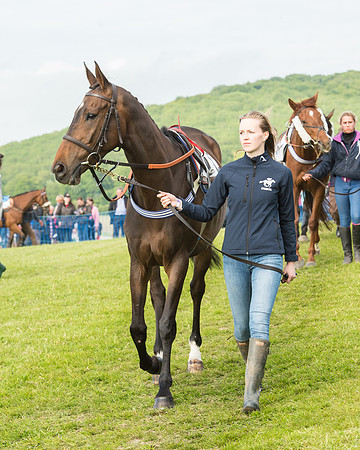 Race 6 - Open Maiden Race (23 of 180).jpg