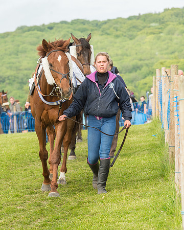 Race 6 - Open Maiden Race (24 of 180).jpg