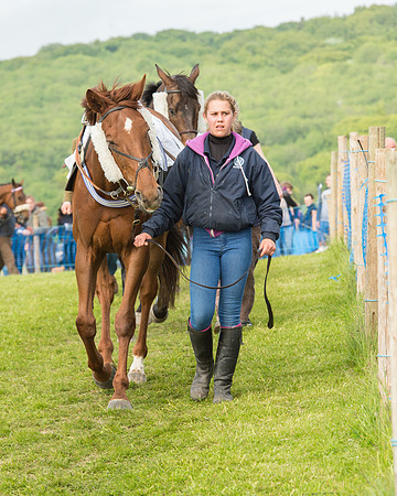 Race 6 - Open Maiden Race (25 of 180).jpg