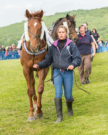 Race 6 - Open Maiden Race (26 of 180).jpg