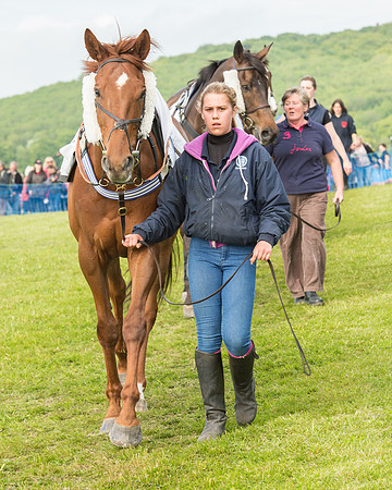 Race 6 - Open Maiden Race (27 of 180).jpg