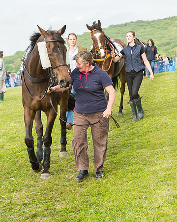 Race 6 - Open Maiden Race (28 of 180).jpg
