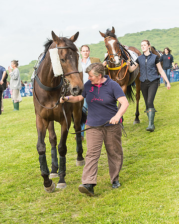 Race 6 - Open Maiden Race (29 of 180).jpg