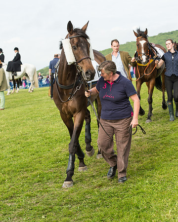 Race 6 - Open Maiden Race (30 of 180).jpg