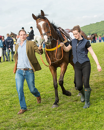 Race 6 - Open Maiden Race (33 of 180).jpg