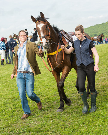 Race 6 - Open Maiden Race (34 of 180).jpg