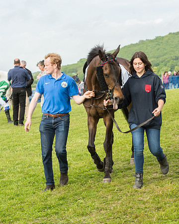Race 6 - Open Maiden Race (36 of 180).jpg