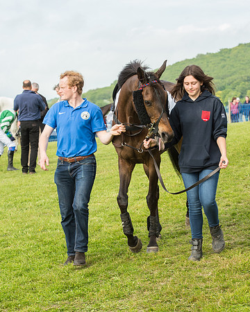 Race 6 - Open Maiden Race (37 of 180).jpg