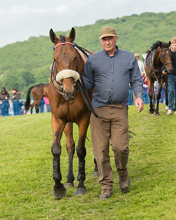 Race 6 - Open Maiden Race (38 of 180).jpg