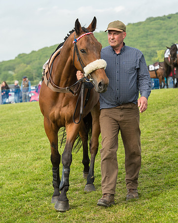 Race 6 - Open Maiden Race (39 of 180).jpg