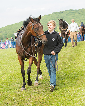 Race 6 - Open Maiden Race (40 of 180).jpg