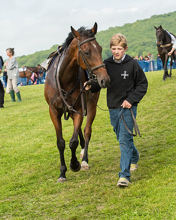 Race 6 - Open Maiden Race (42 of 180).jpg