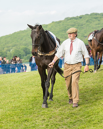 Race 6 - Open Maiden Race (43 of 180).jpg