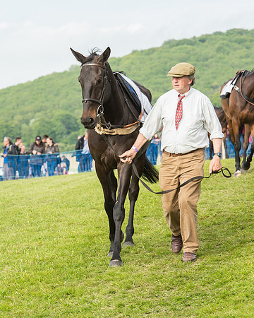 Race 6 - Open Maiden Race (44 of 180).jpg