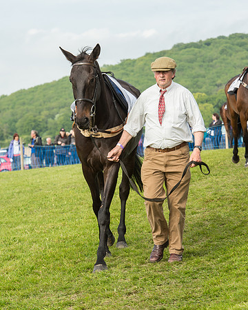 Race 6 - Open Maiden Race (45 of 180).jpg