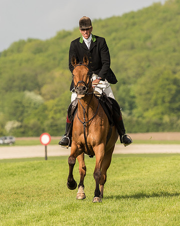Race 6 - Open Maiden Race (46 of 180).jpg