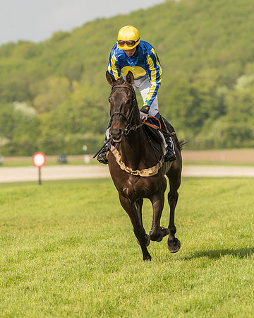 Race 6 - Open Maiden Race (48 of 180).jpg